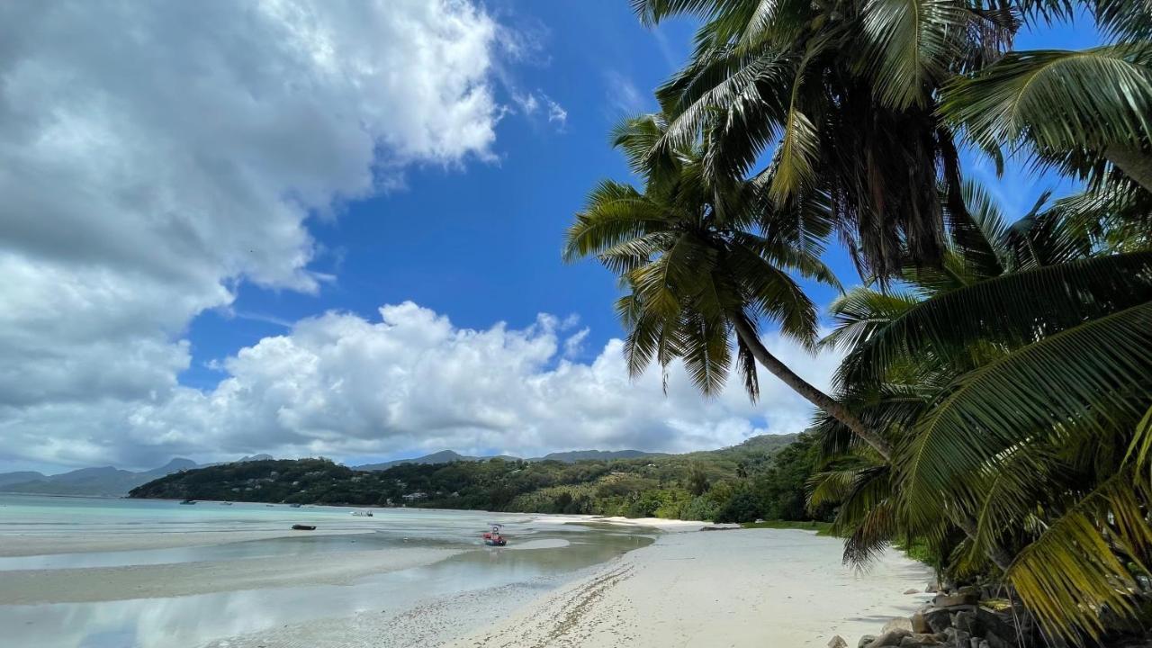 Aparthotel La Trouvaille Anse a La Mouche Exteriér fotografie